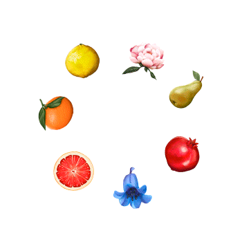 Loading spinner