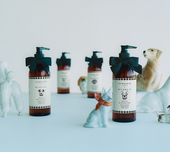 Jo Malone London Orange & Cedarwood Dog Shampoo