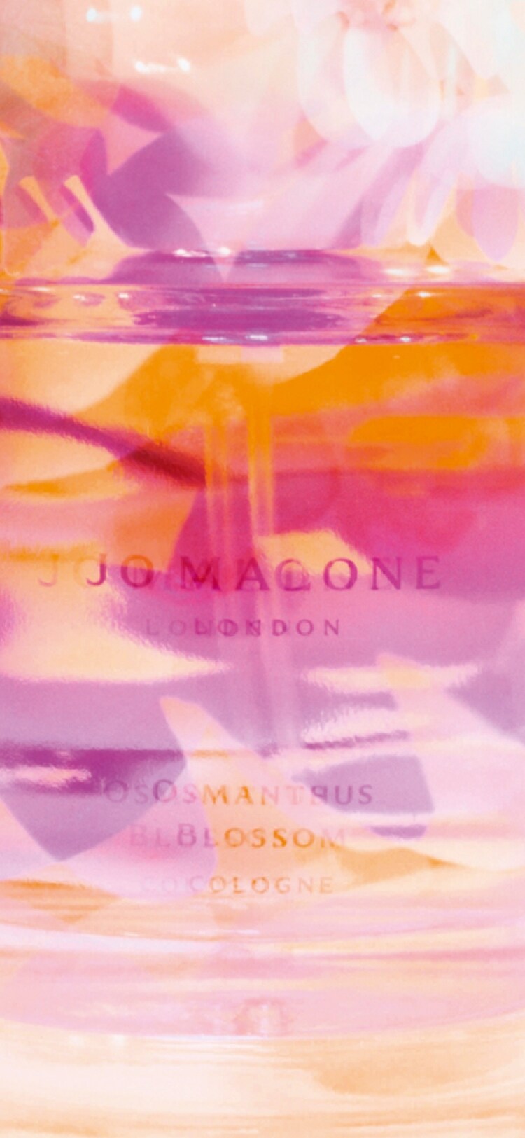 The Blossoms Collection | Jo Malone London