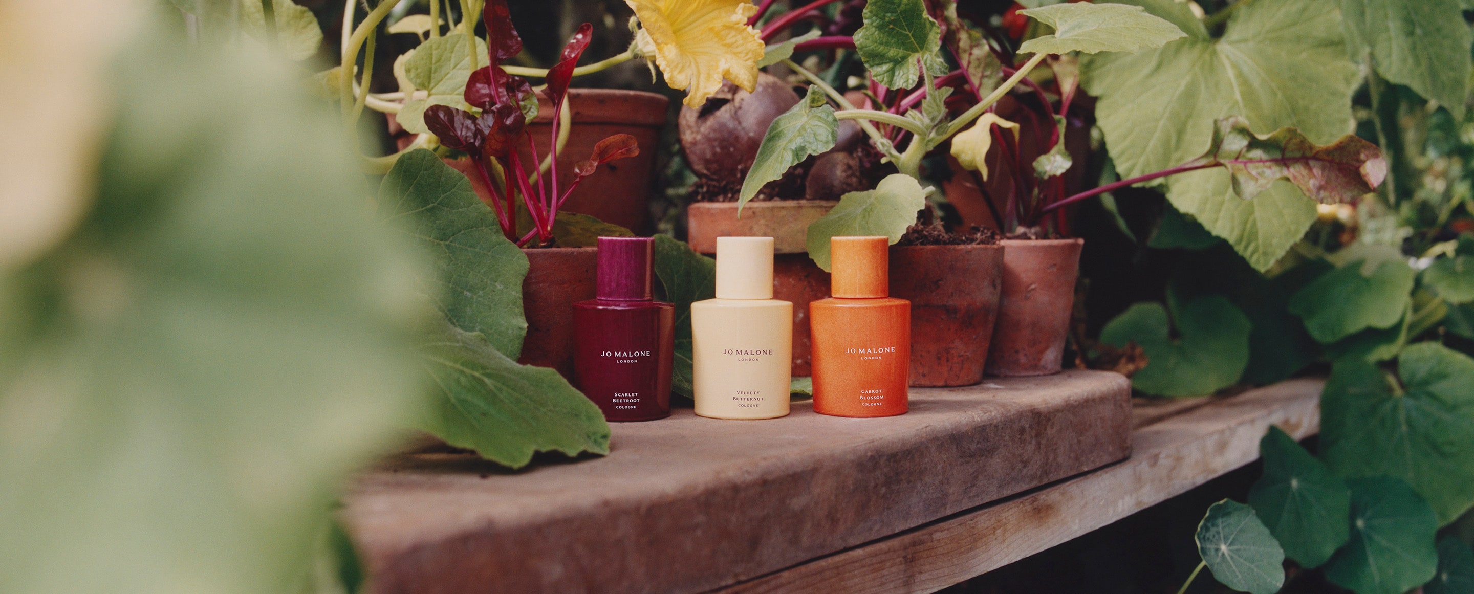 Jo Malone London Veggies Collection