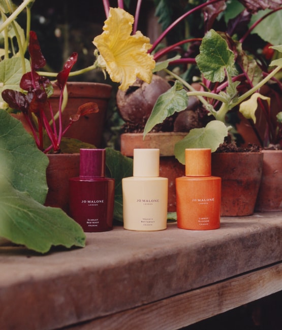 Jo Malone London | Two English Pear & Freesia Classic Candles