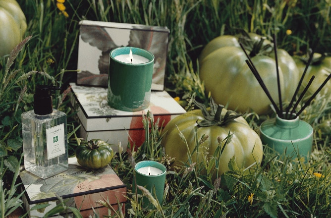 Veggie - Tomato Scents