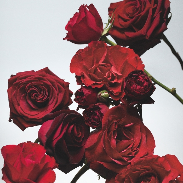Red Roses Cologne | Jo Malone London | Jo Malone London