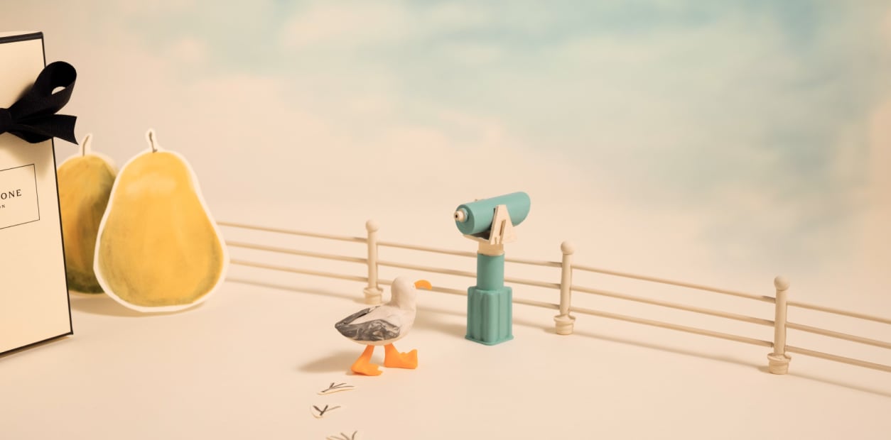 Illustration of seagull next to telescope at a seaside