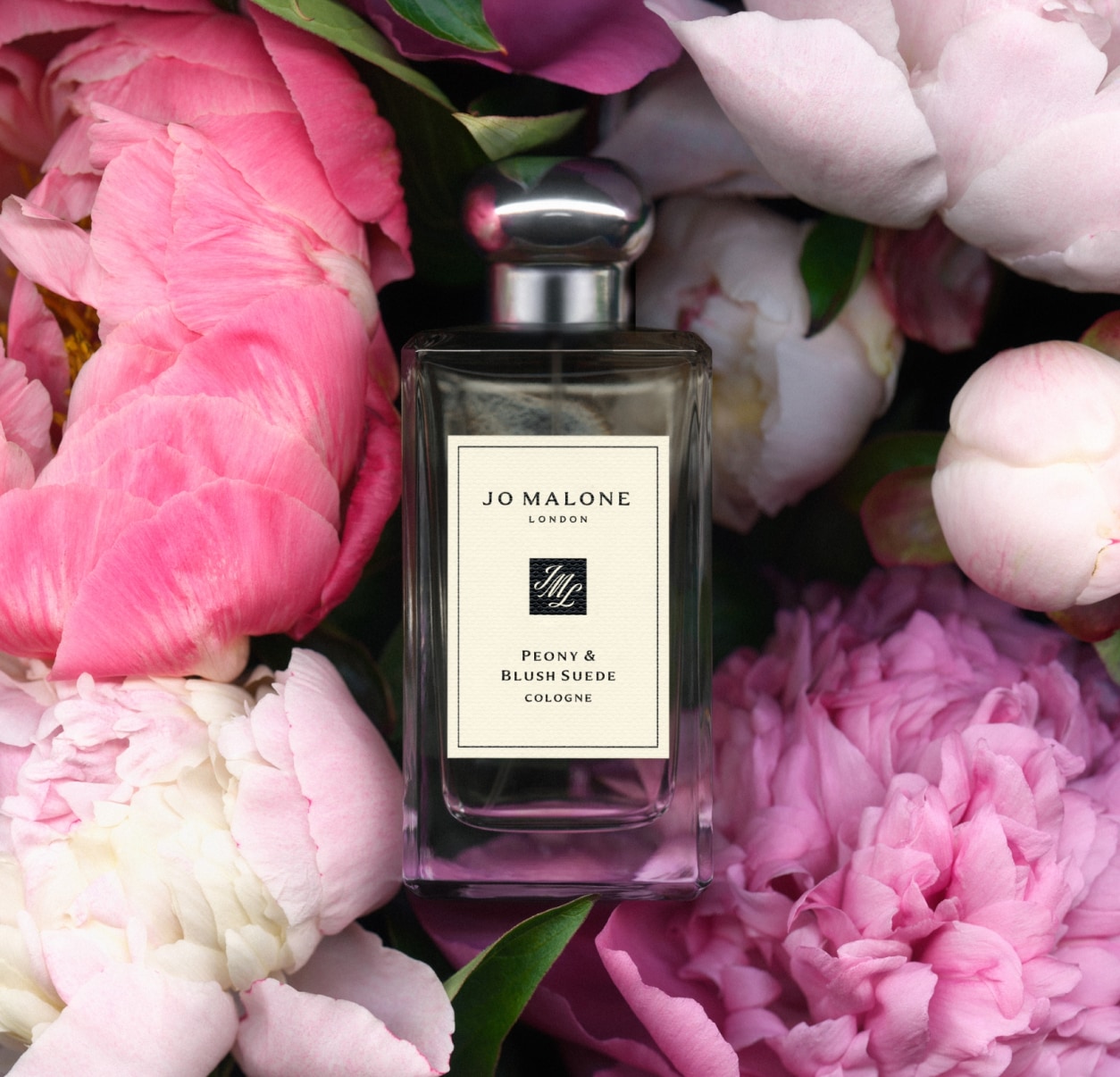 Peony flower