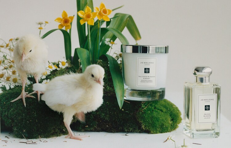 Easter Gifting Colognes and chicks