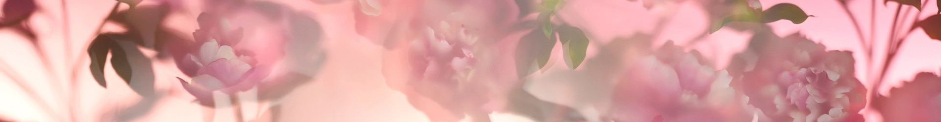 image of peonies, an ingredient in Jo Malone London peony & blush suede, on a pink background