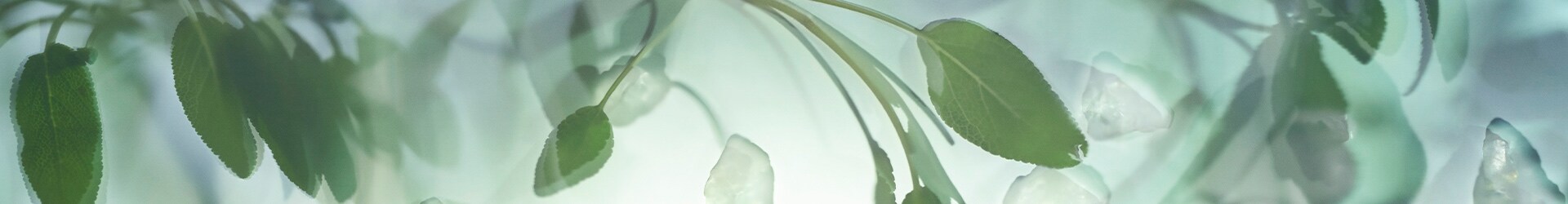 image of sage, an ingredient in Jo Malone London wood sage & sea salt, on a pale blue background