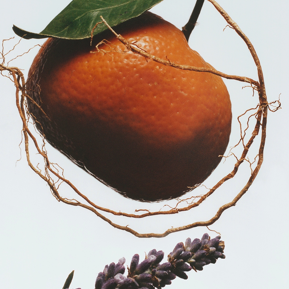 조말론 154 코롱 