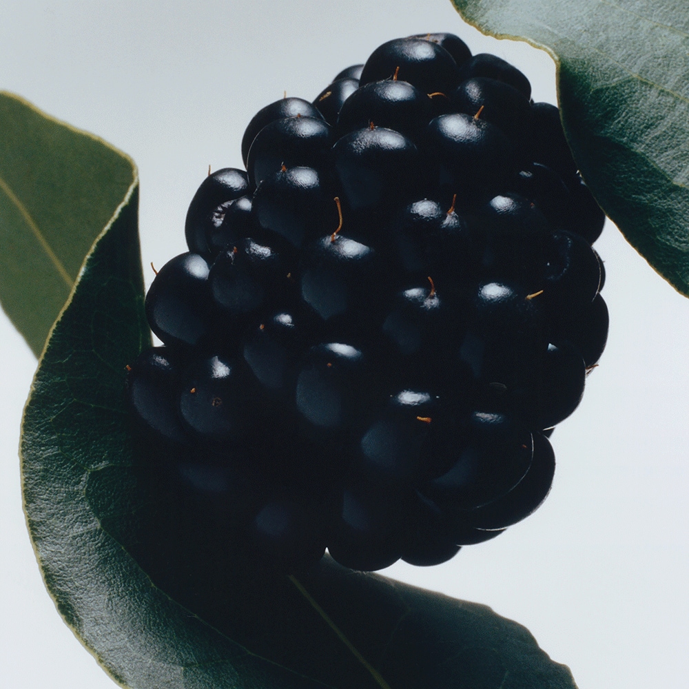 조말론 블랙베리 & 베이 코롱 