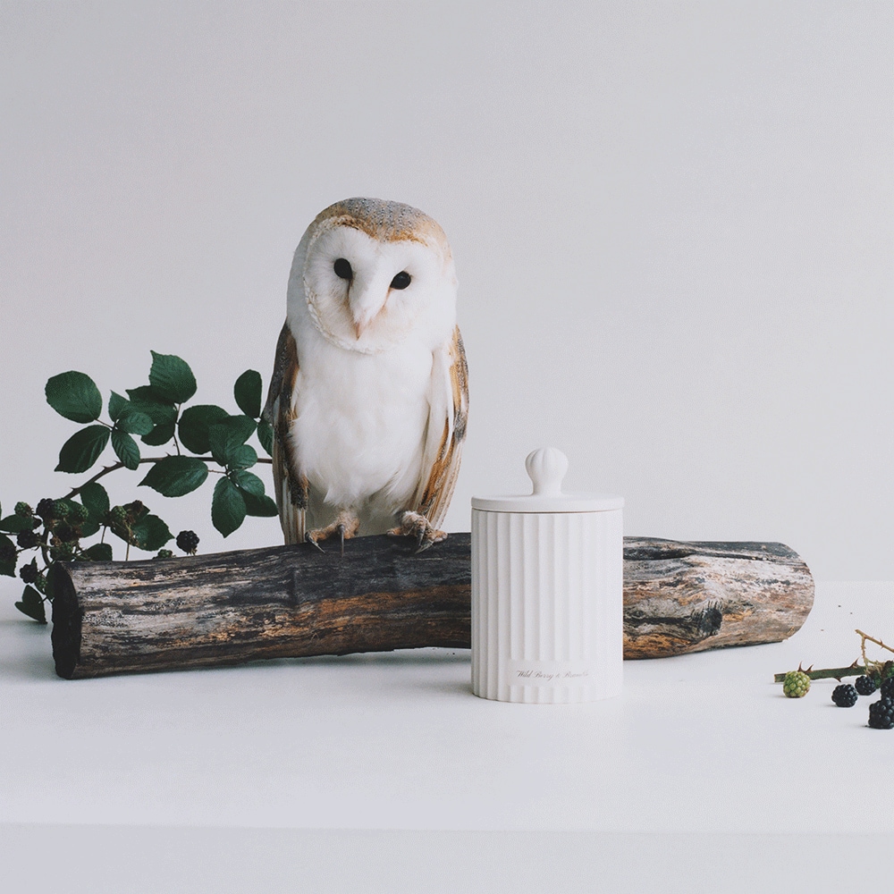 조말론 와일드 베리 & 브램블 타운하우스 캔들 