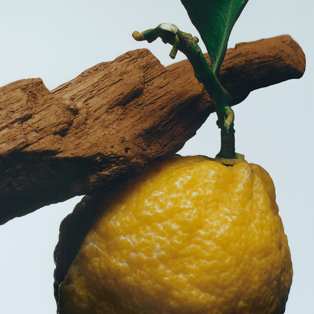 조말론 우드 & 베르가못 홈 캔들 