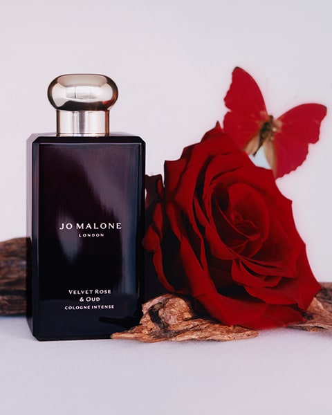 Velvet Rose & Oud Cologne surrounded by roses