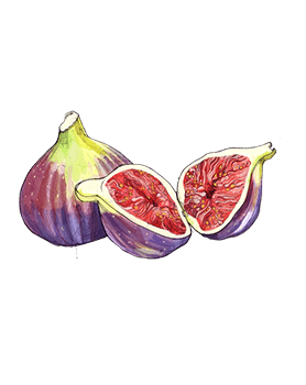 新しく着き ジョーマローン Wild Cassis & Fig ユニセックス